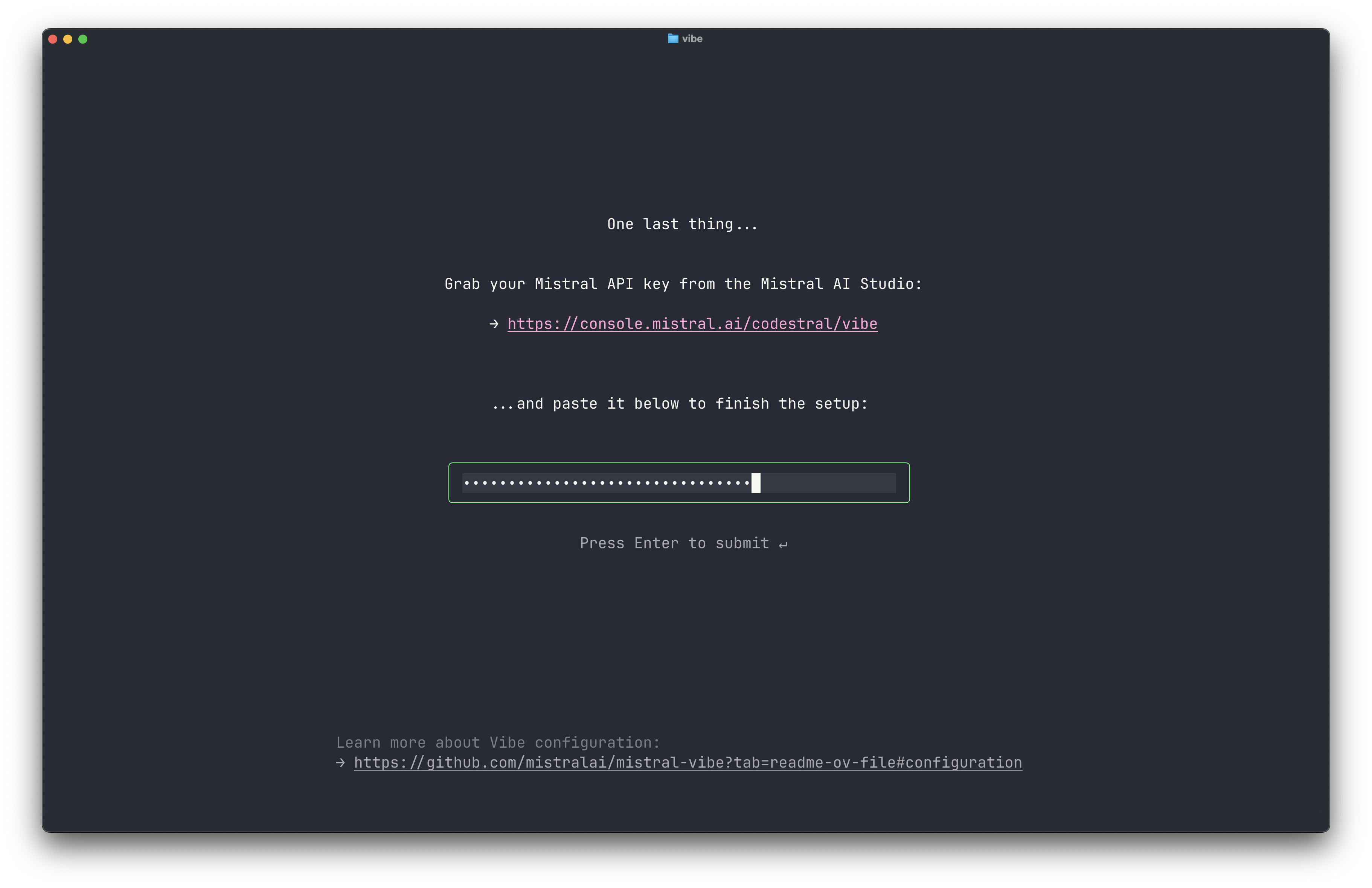 entering_the_API_key_on_first_launch